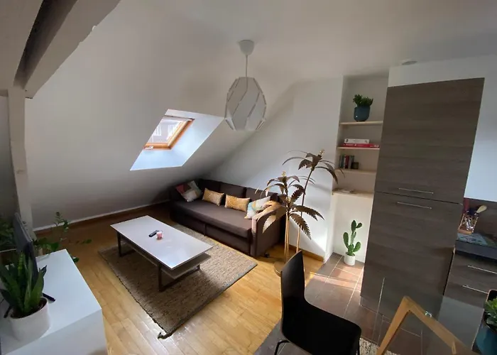 Appartement Hyper Centre Cathedrale Avec Parking Gratuit