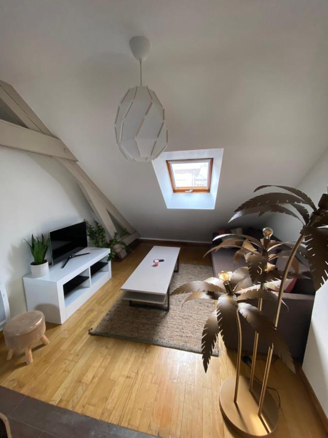Apartment Hyper Centre Cathedrale Avec Parking Gratuit
